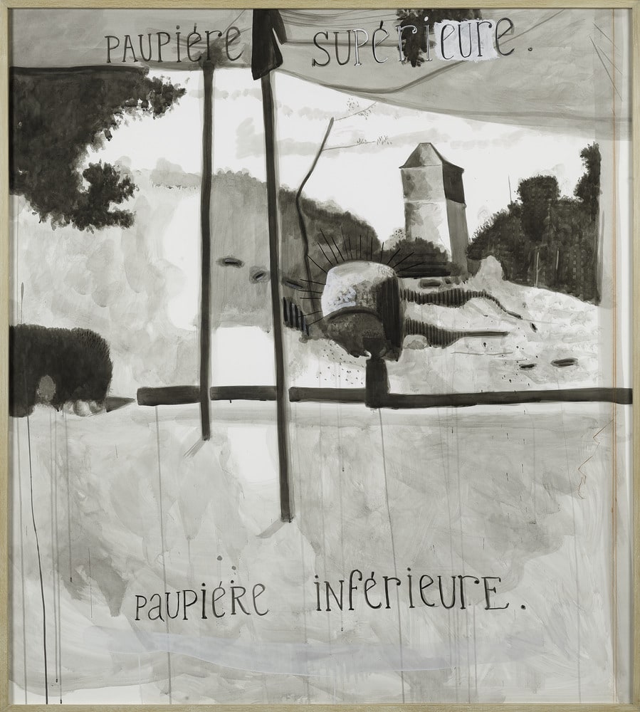 La Vision de Robert Walser (paupière supérieure, paupière inférieure)
