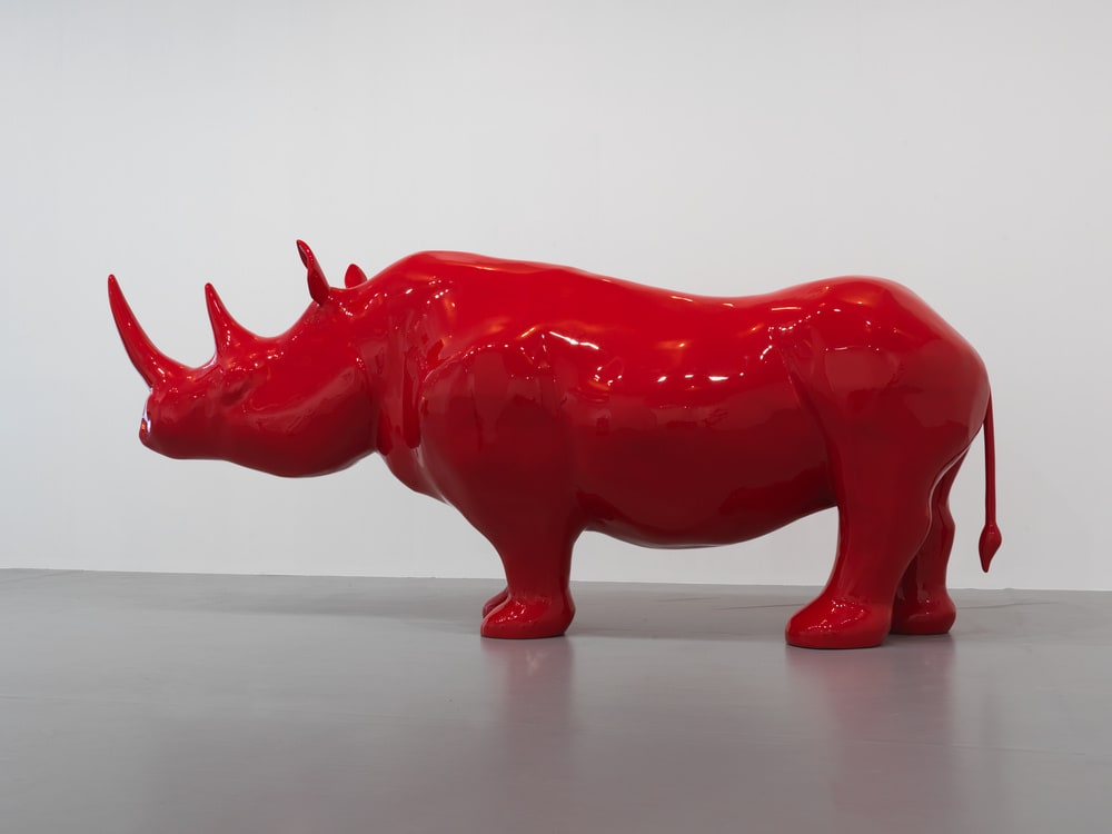 Le Rhinocéros