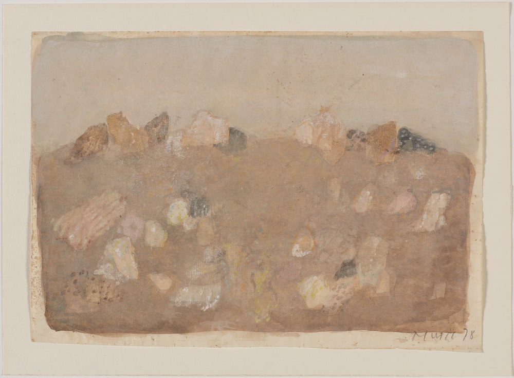 Paysage rocheux