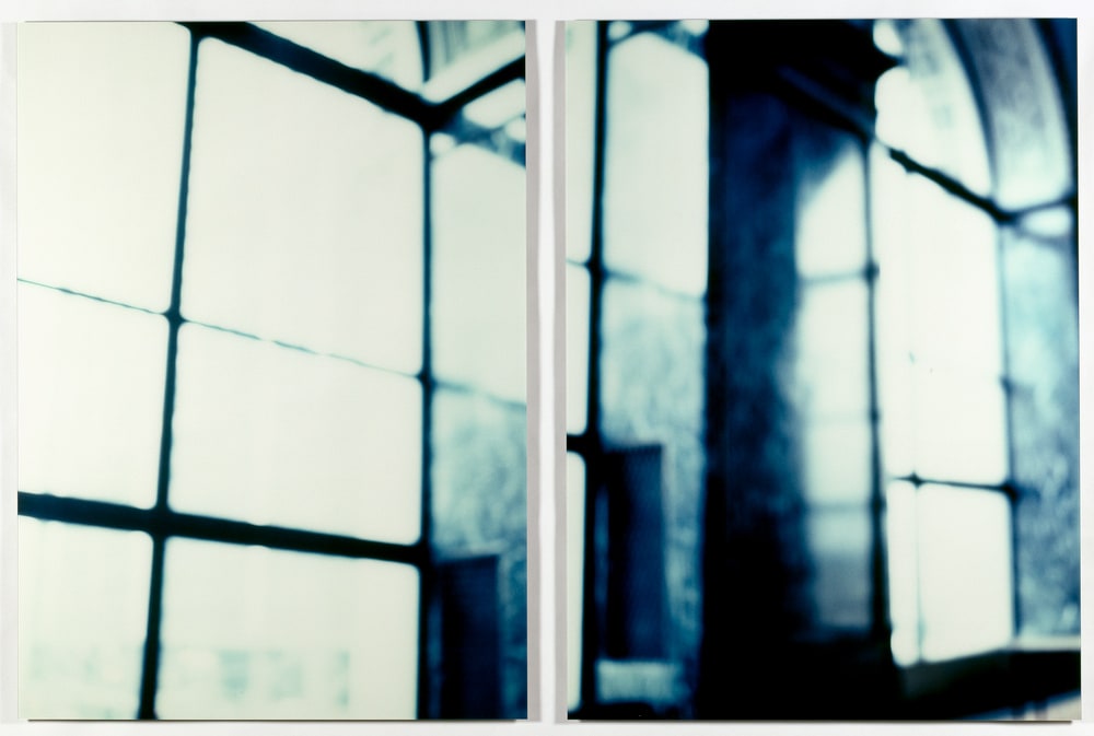 Y (Chicago Library Series)