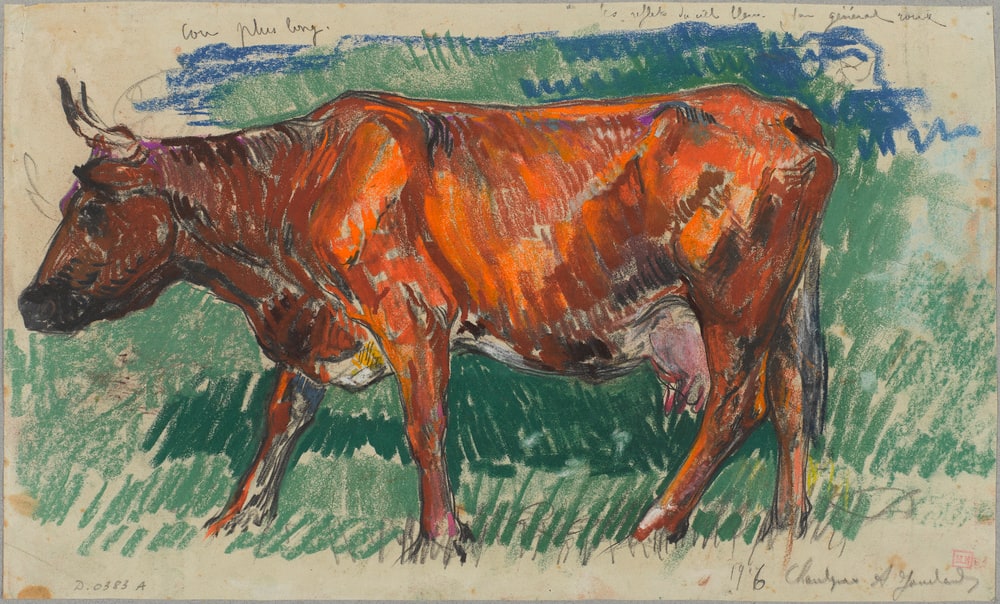Etude de vache rousse