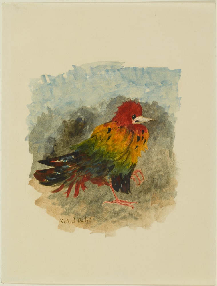 Portrait-de-l'oiseau-qui-n'existe-pas