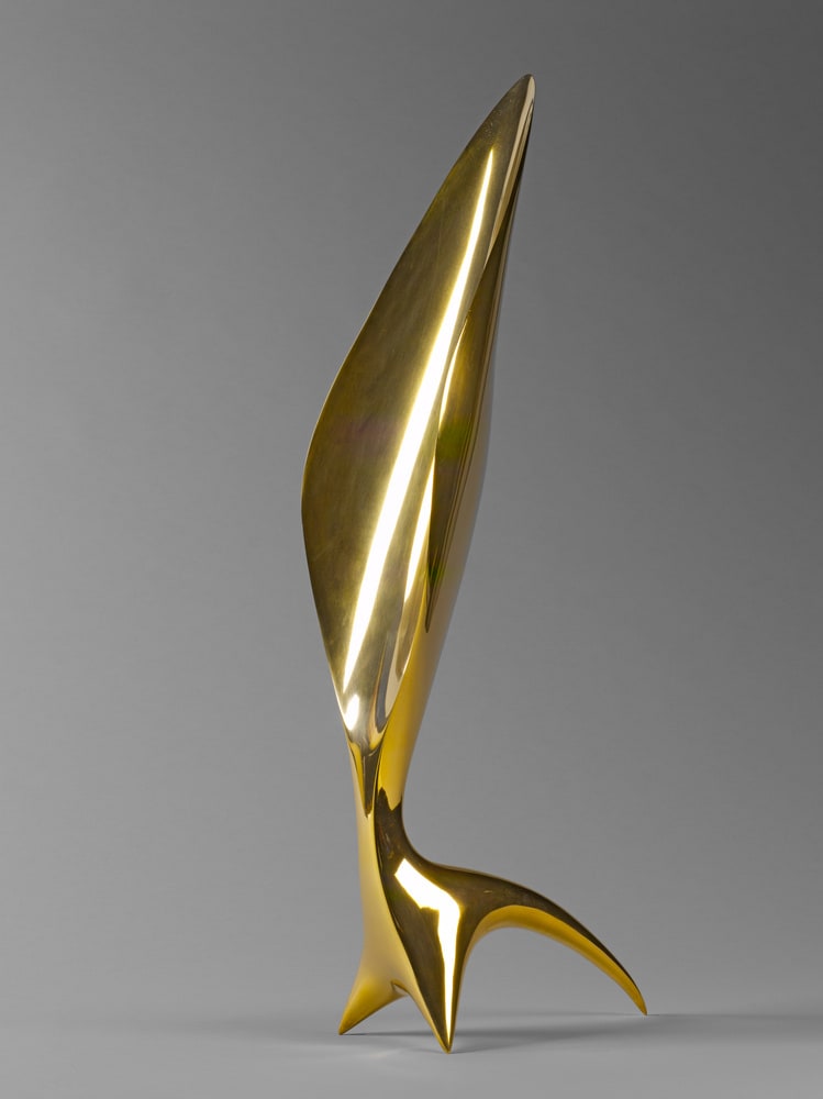 La mesure lumineuse