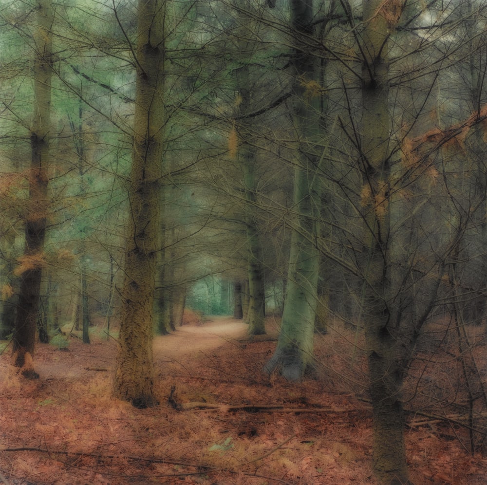 Westerstede, Germany