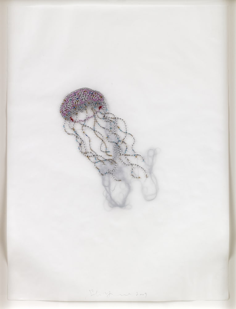 Jellyfish