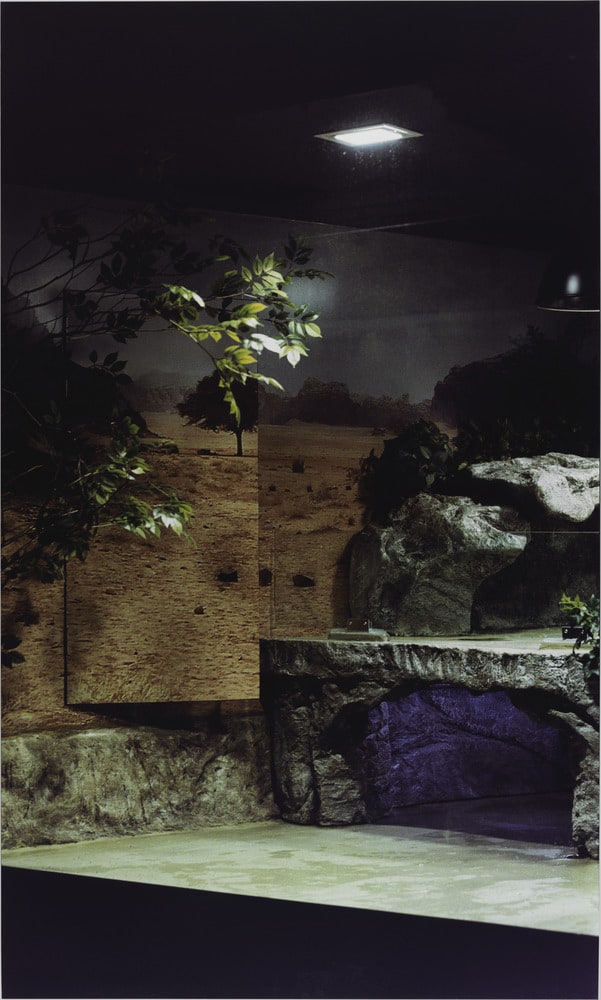 Décor XXI