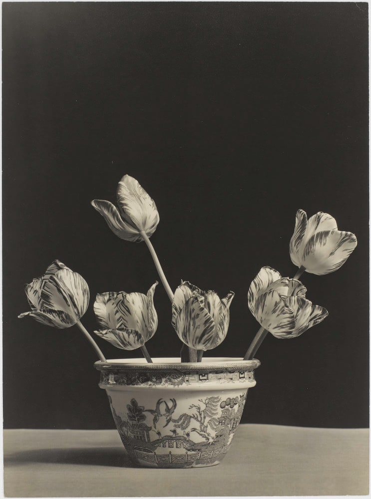 Tulipes au vase de Delft