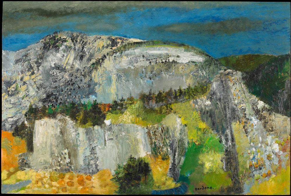 Le chabot gris