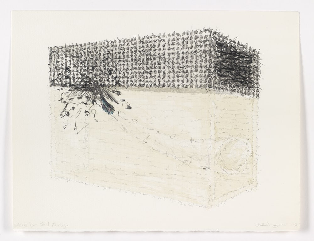 Study for Still Moving
