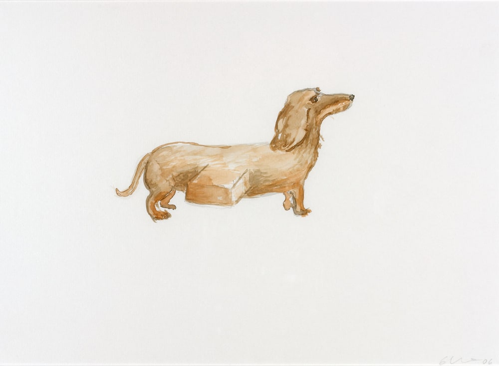 Dog That Swallowed a Letter Box