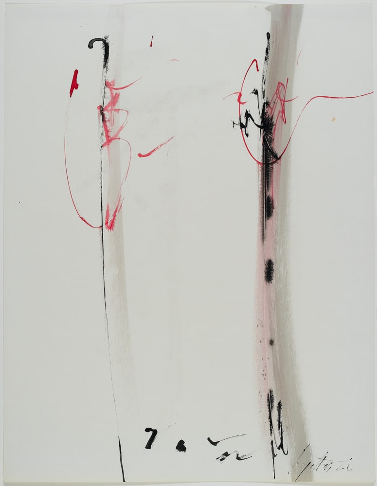 Rose IV