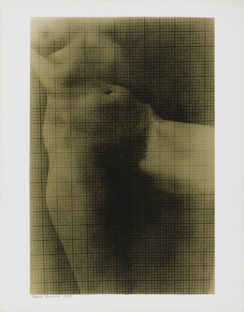Untitled (Graph symbolic expression)