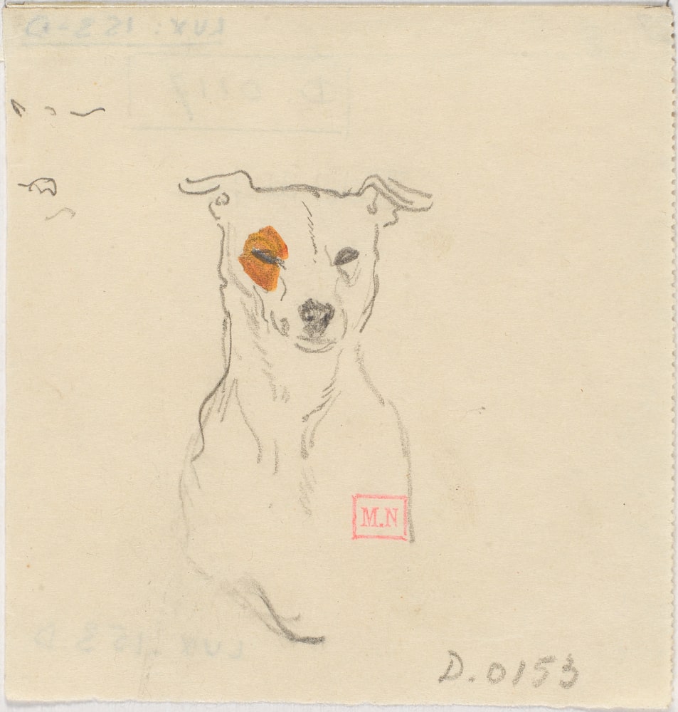 Tête de fox-terrier
