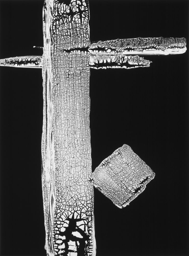 Komposition
(Composition)