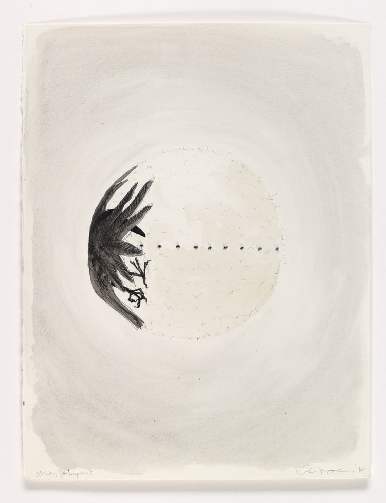 Study for Impact
