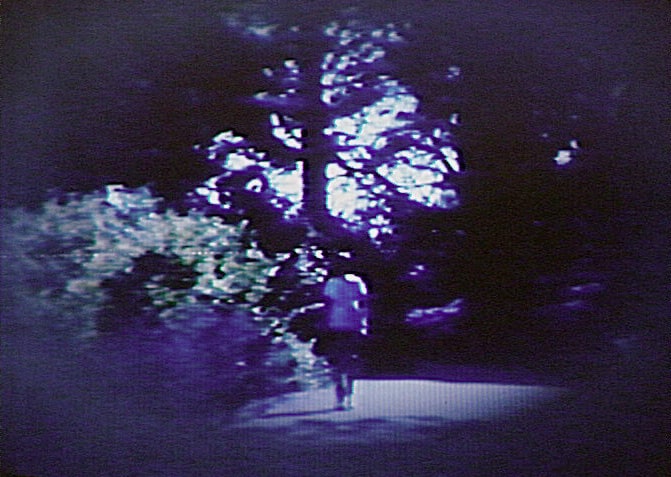 Buena Vista