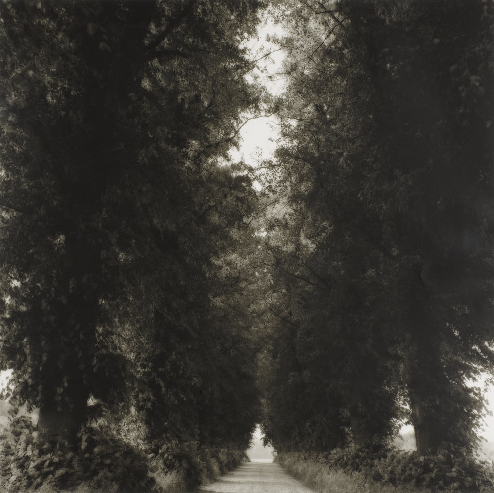 Road, Laage to Tessin, Germany