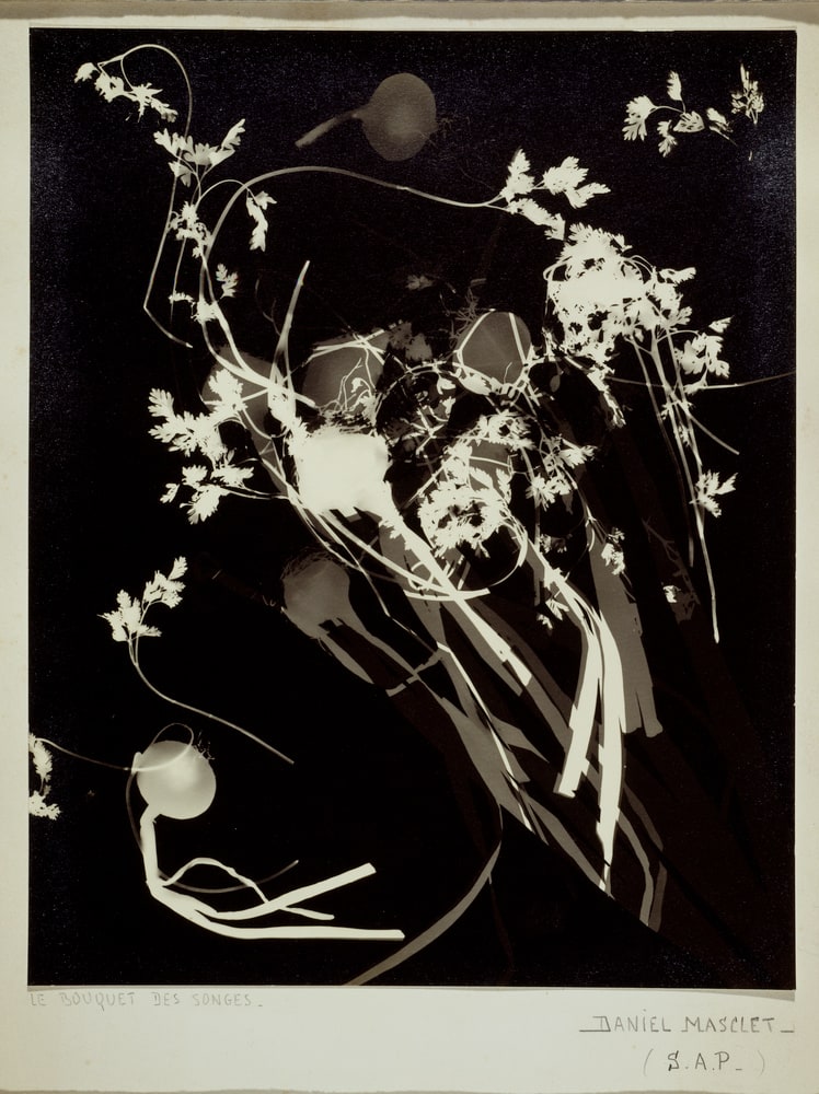 Le bouquet de songes