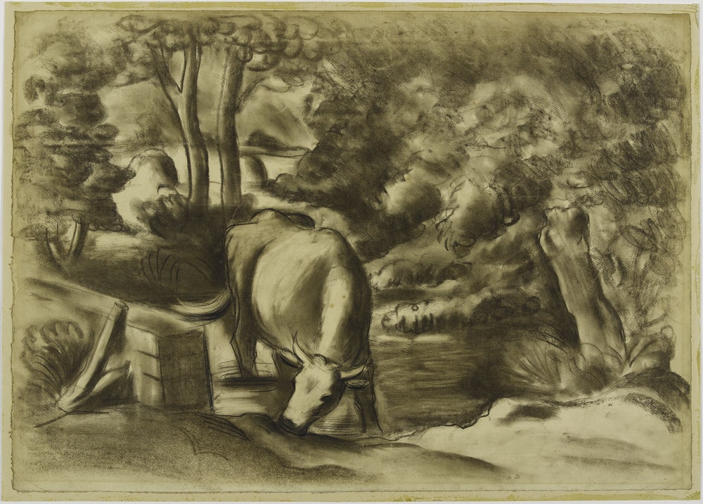Vache à l'abreuvoir