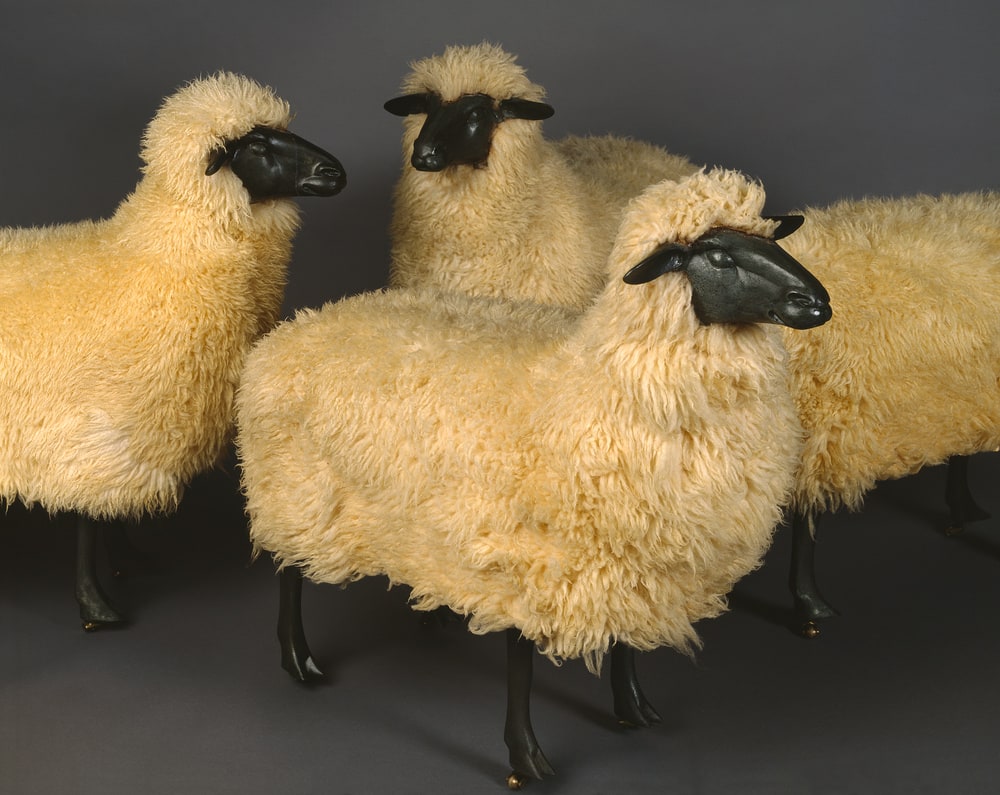 Troupeau de moutons