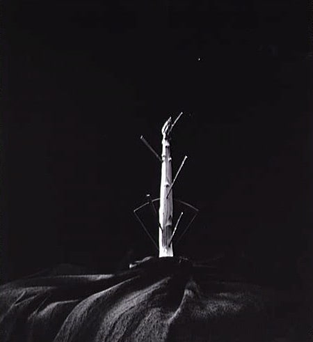 L'asperge