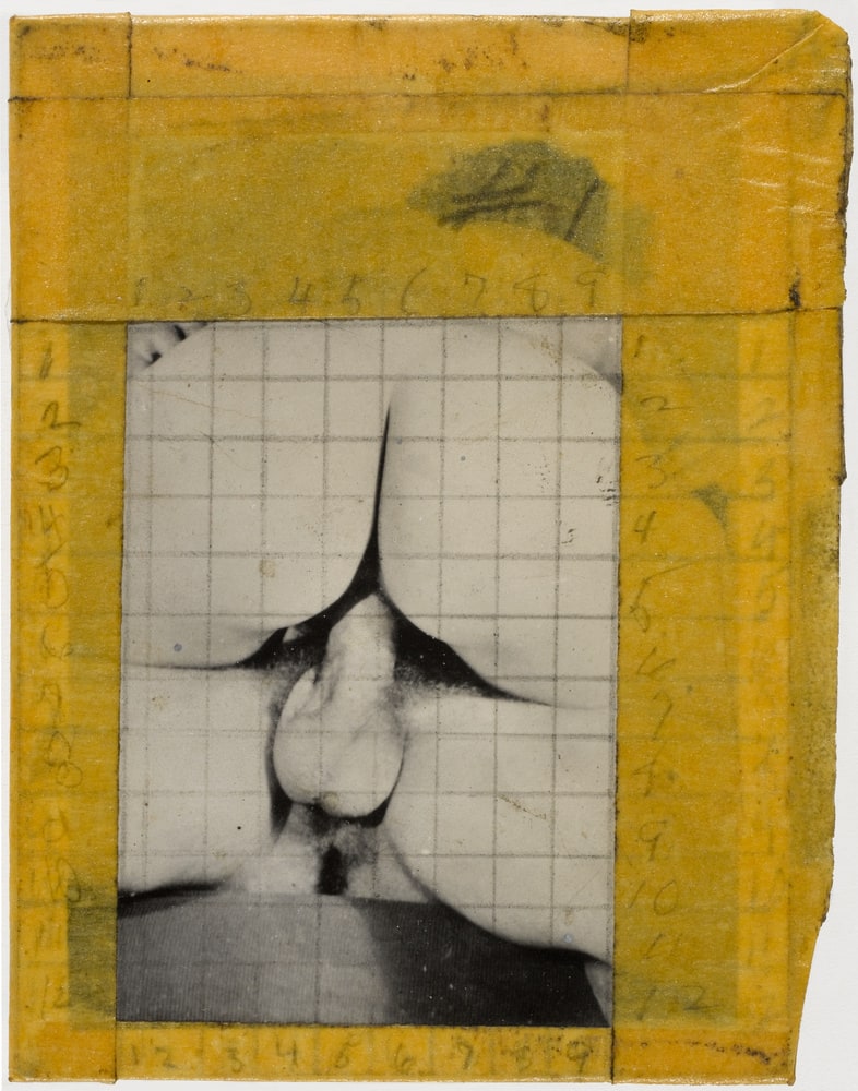 Fuck Painting (Photographie d'origine)