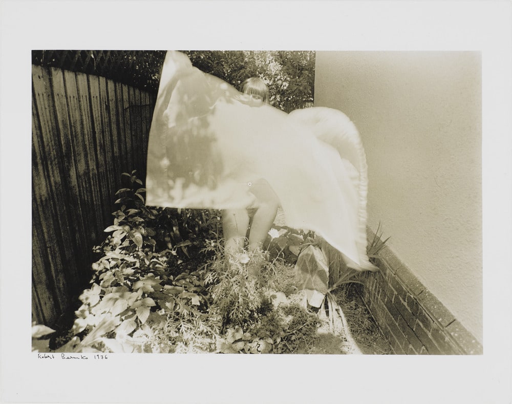 Untitled (Denise n° 3)