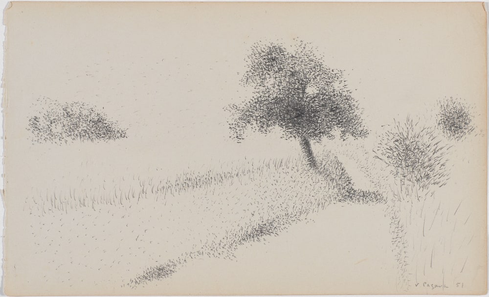 Paysage