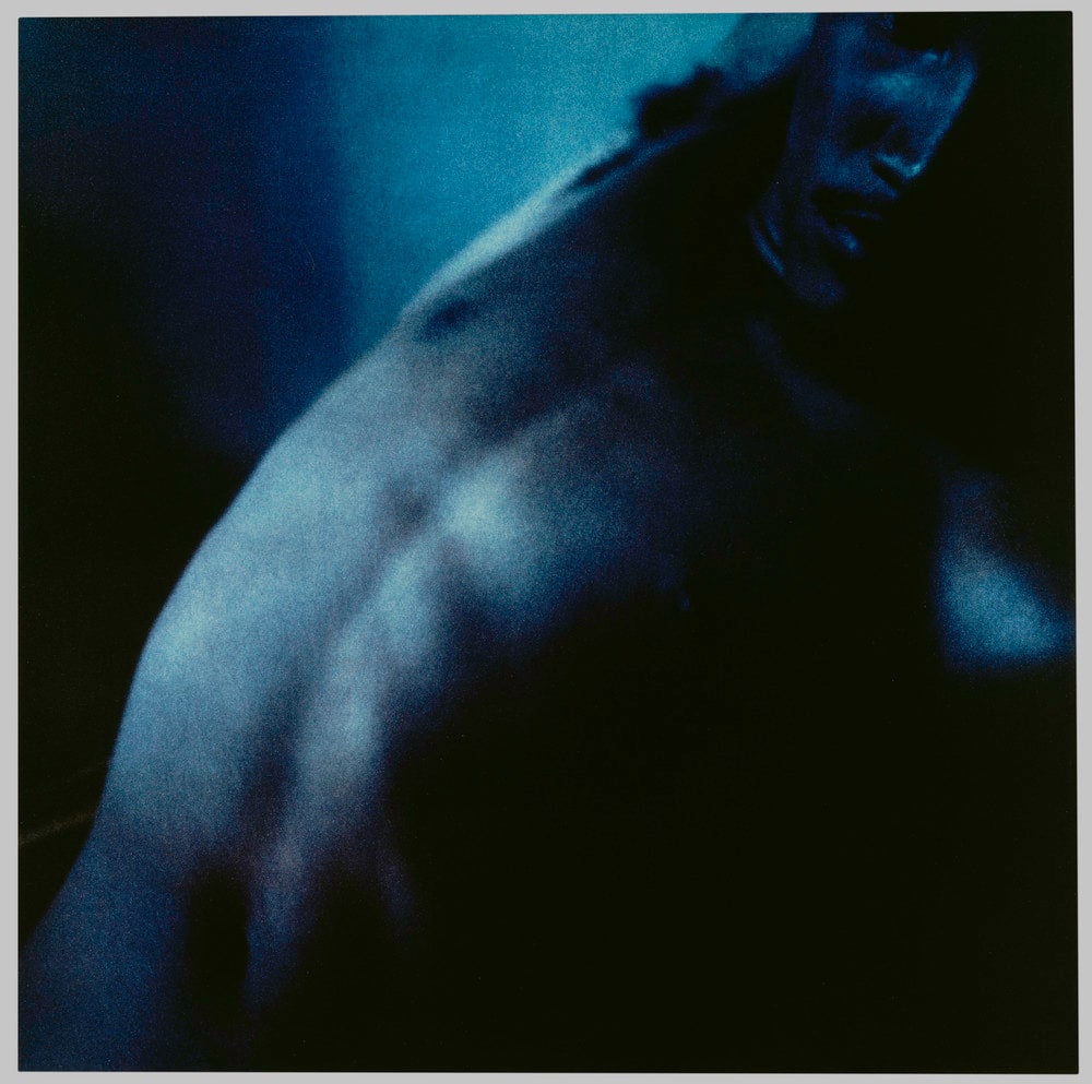 Blue Male