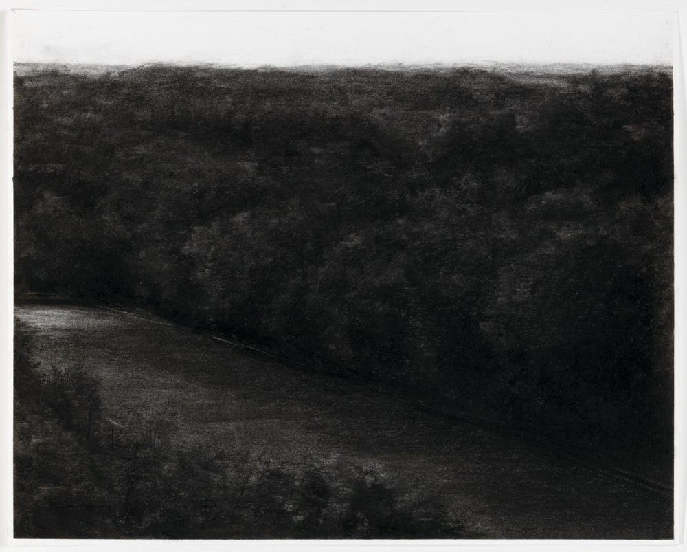 Archive Forest #1