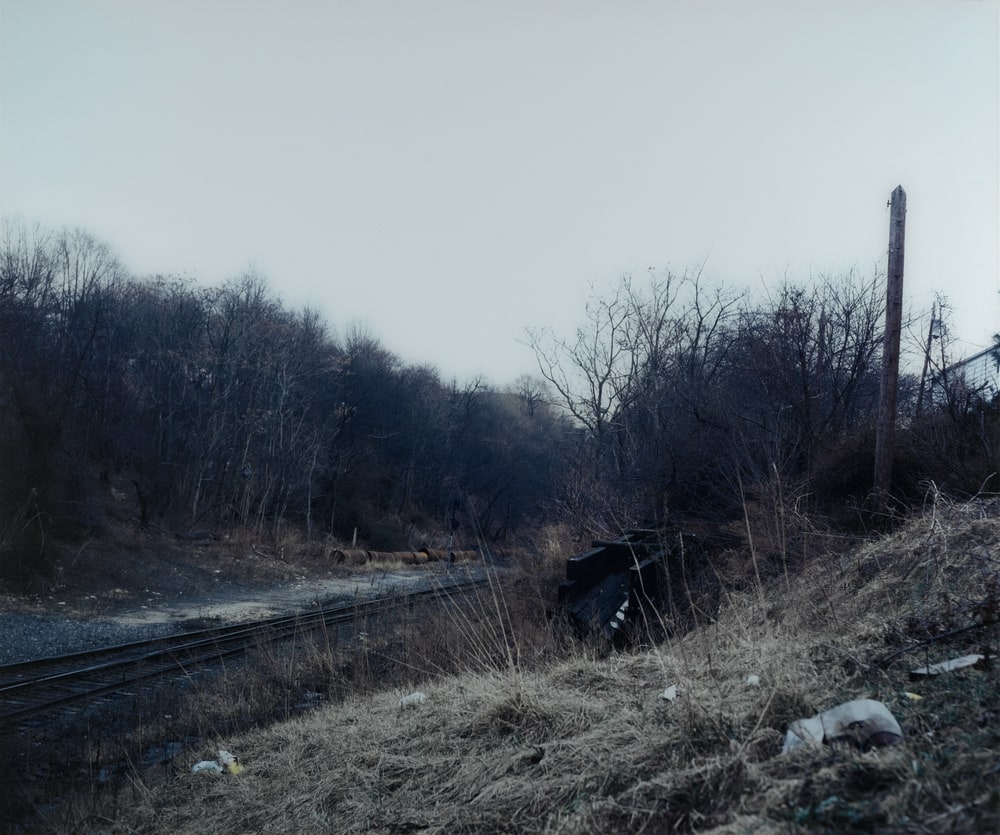 Untitled Landscape, 69