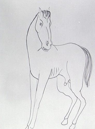 Cheval de profil