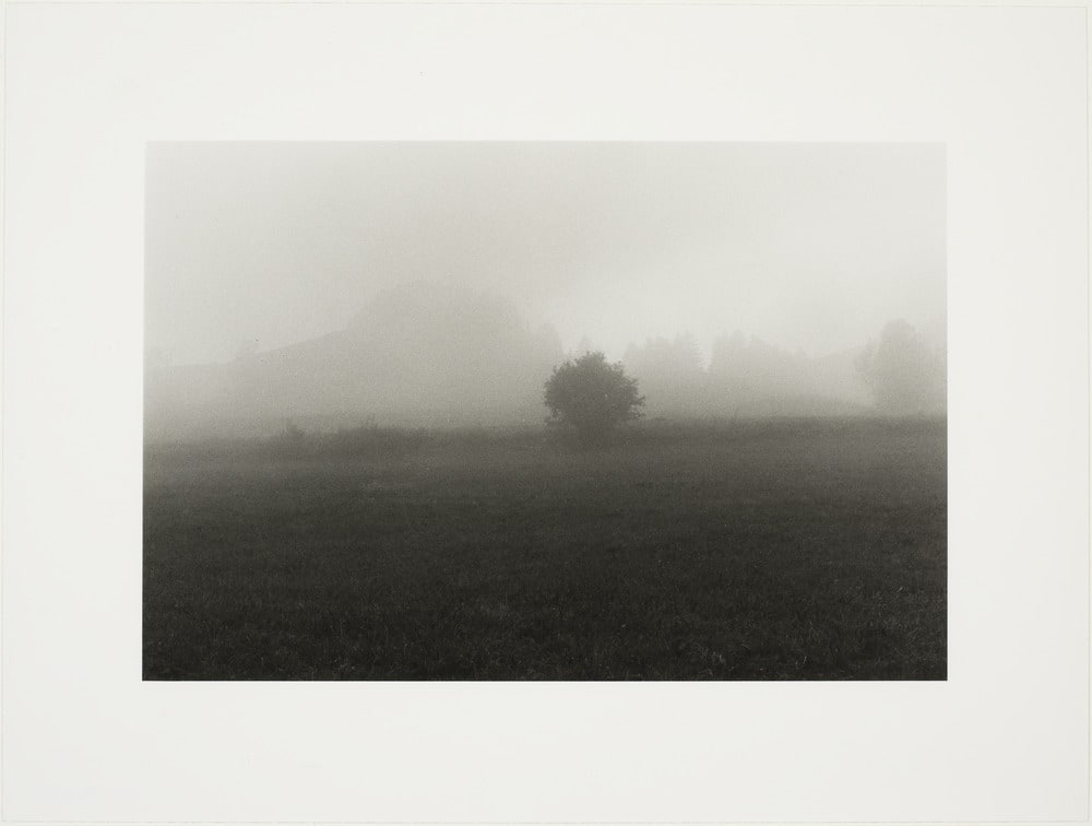 Brume aux plans, Héry