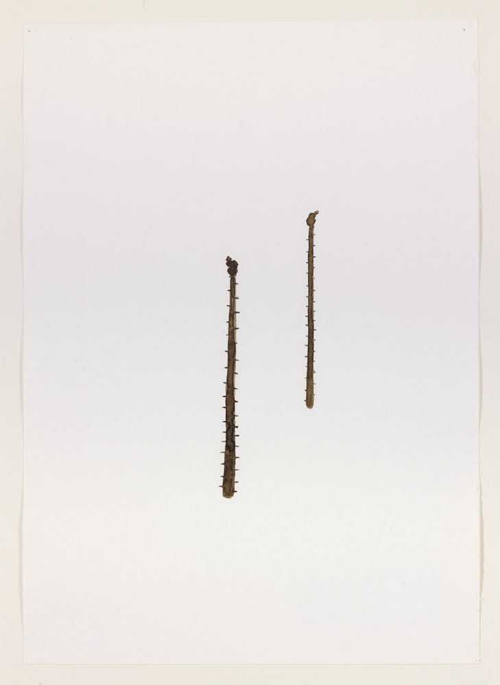 Stylite urbain