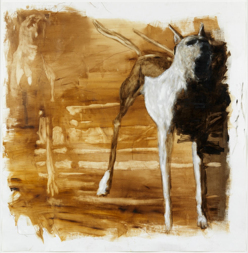 Hunde