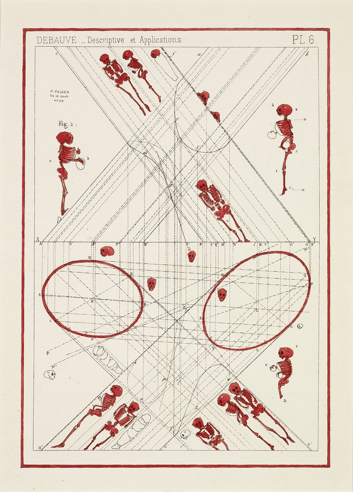 Ecrevisses et architectes