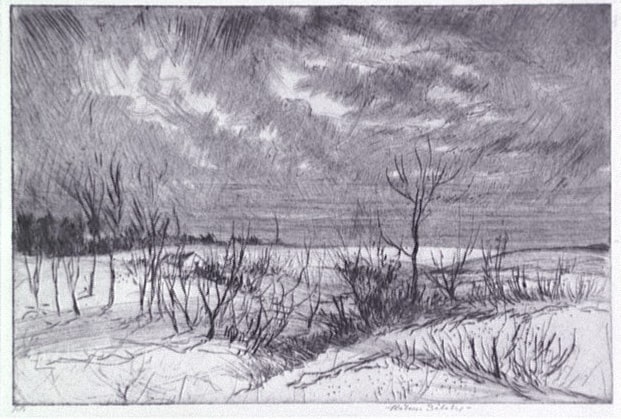 Winter Night
(Nuit d'hiver)