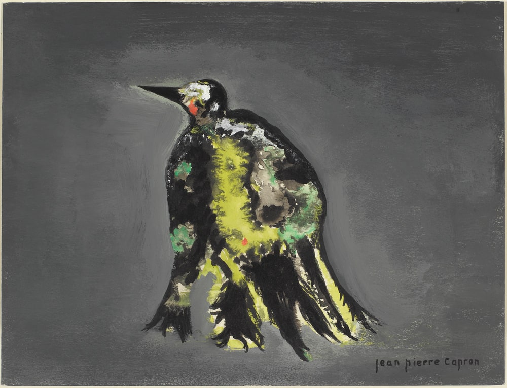 Portrait-de-l'oiseau-qui-n'existe-pas
N0.28.illustration d'un poeme de claude aveline