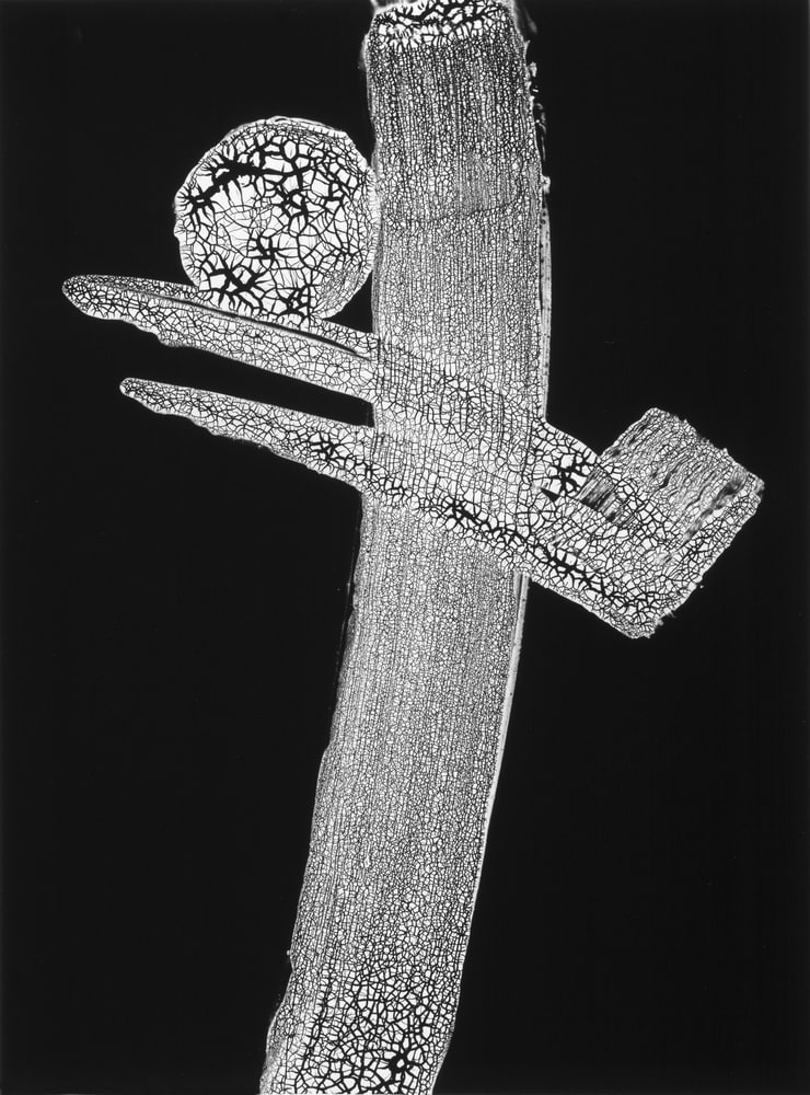 Komposition
(Composition)
