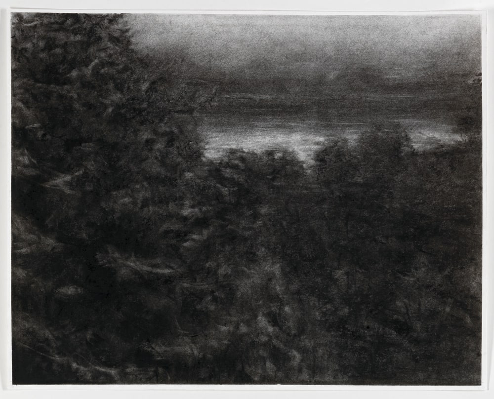 Archive Forest #12