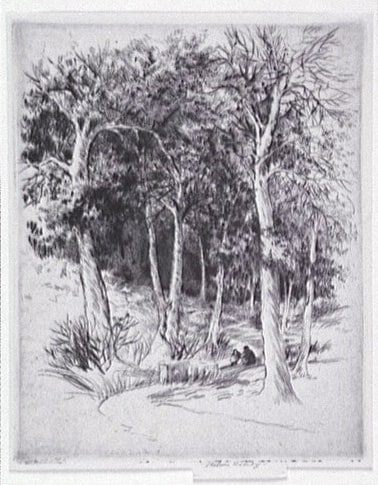 La source. Bois à Meudon