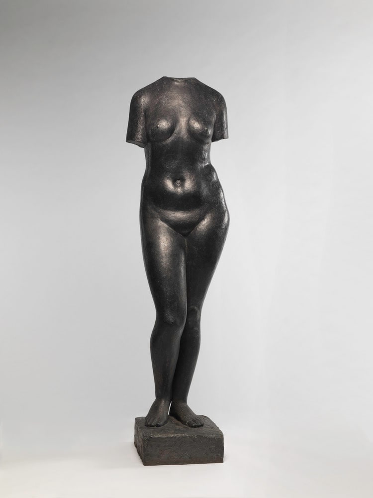 Torse de femme