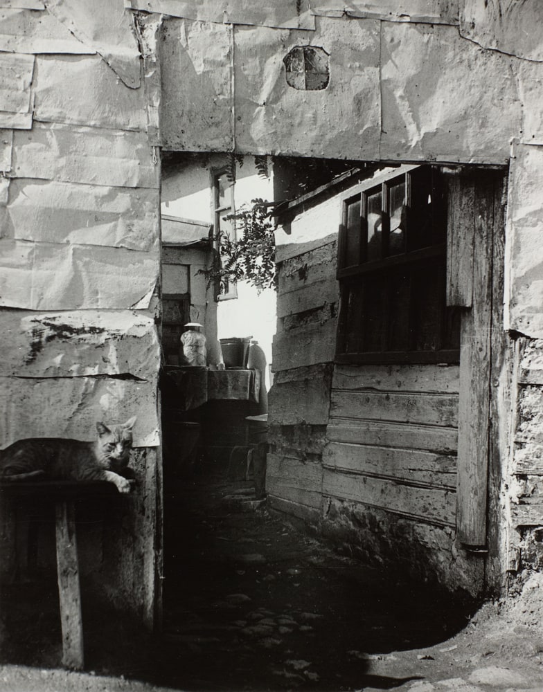 Cour d'une maison