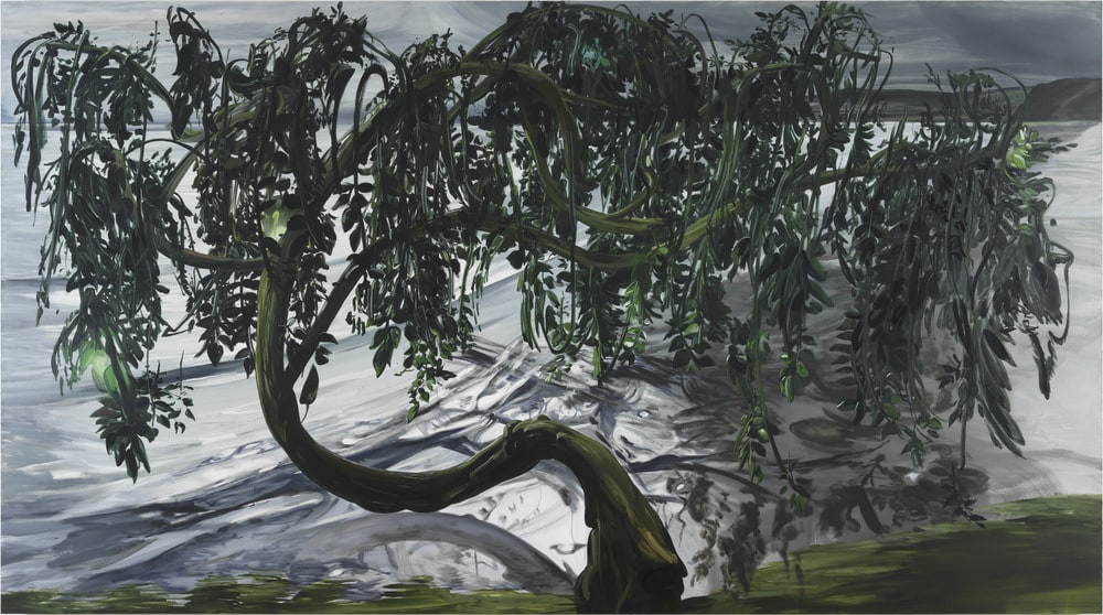 Weeping Willow