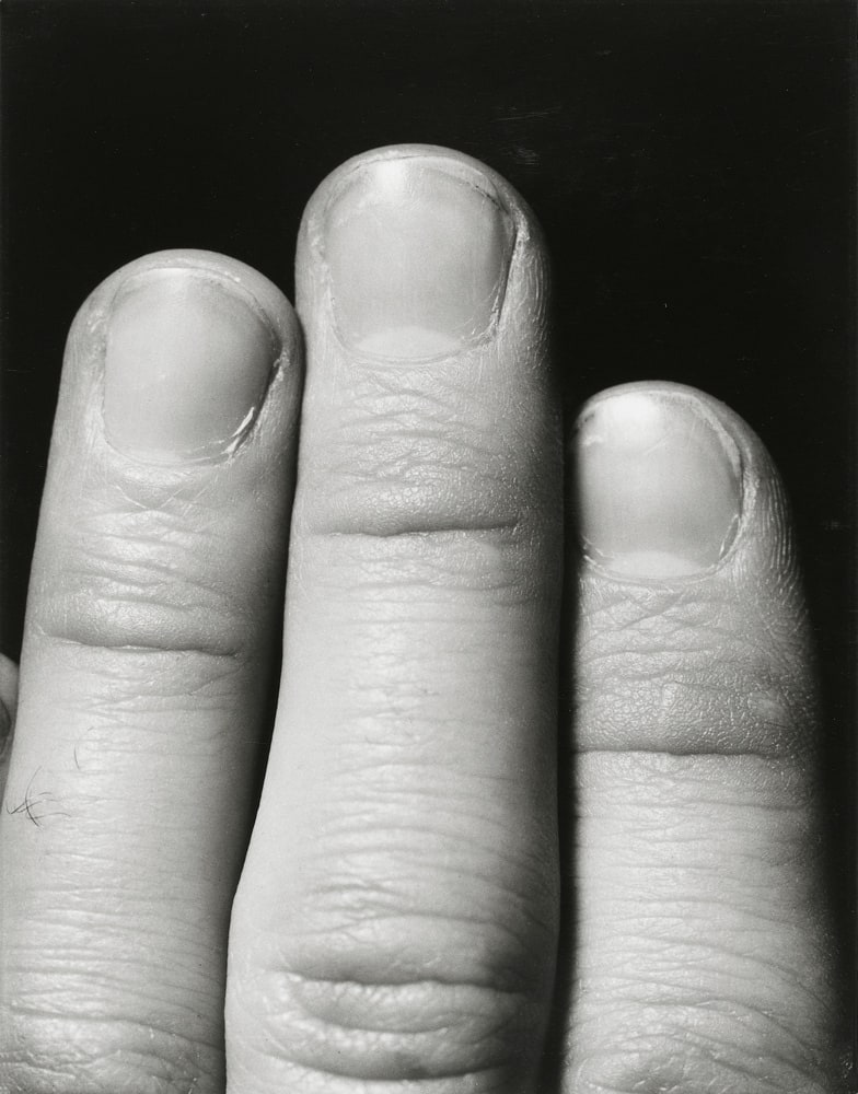 Autoportrait