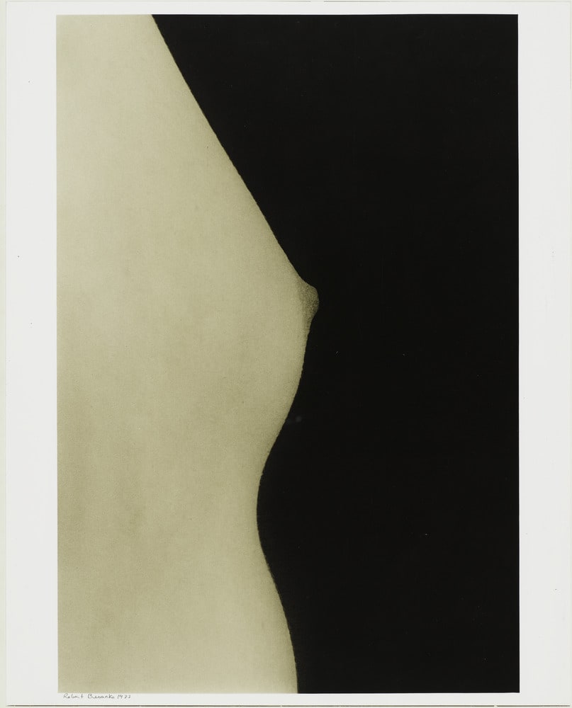 Untitled (Vertical Breast)
