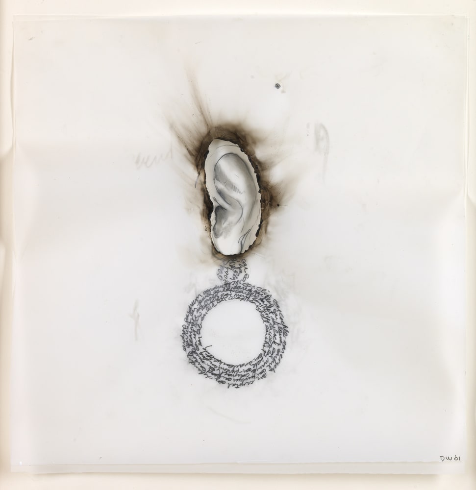 All the Ear Words In the Dictionnary