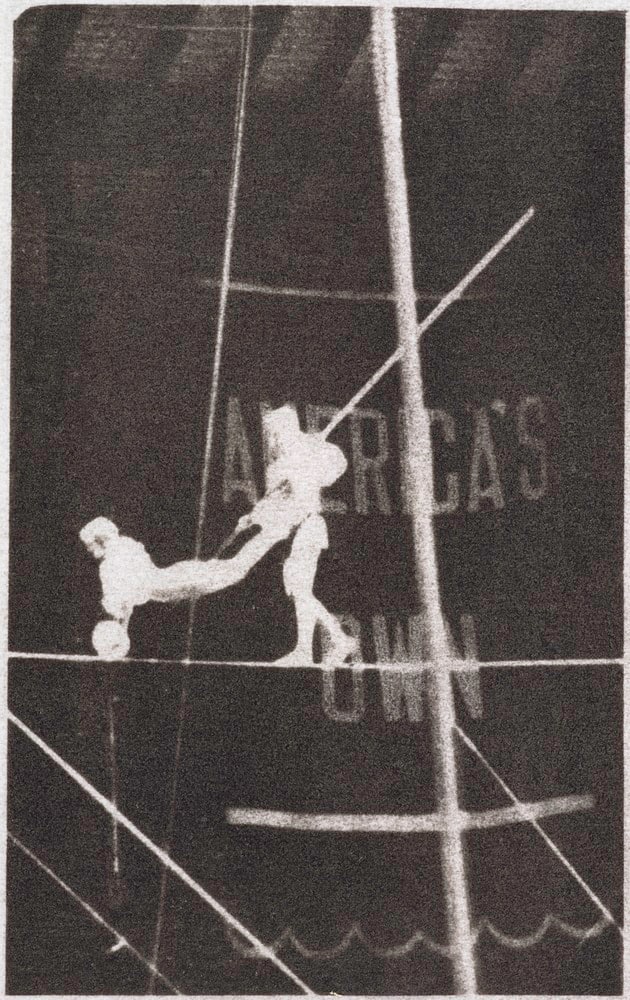 Acrobates