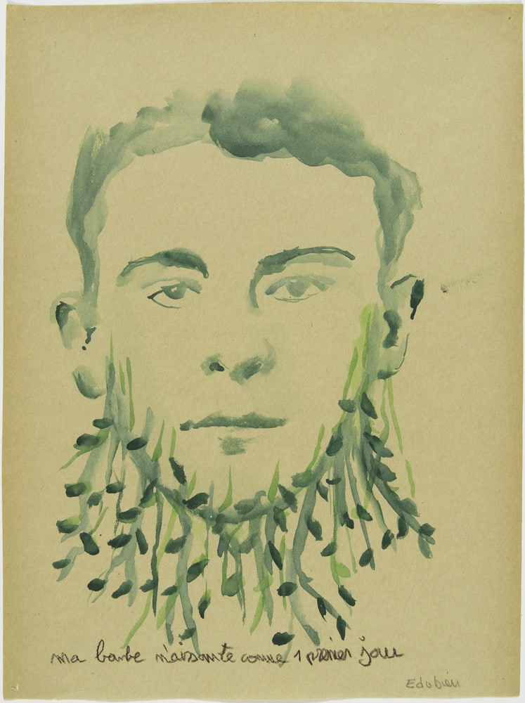 Barbe de printemps
