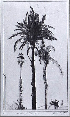 Au-dessus du toit